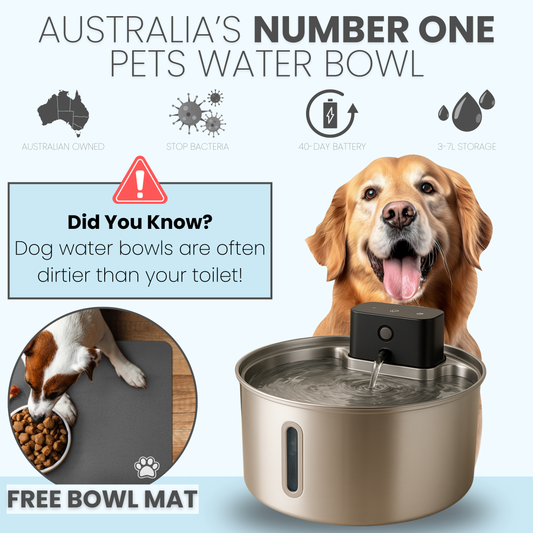 PurePup™ Water Bowl